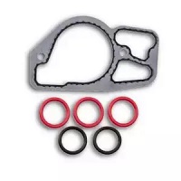 Gaskets & Seals